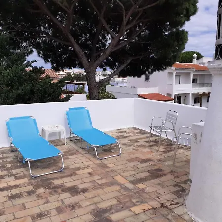 Eucalipto Проживание в семье *